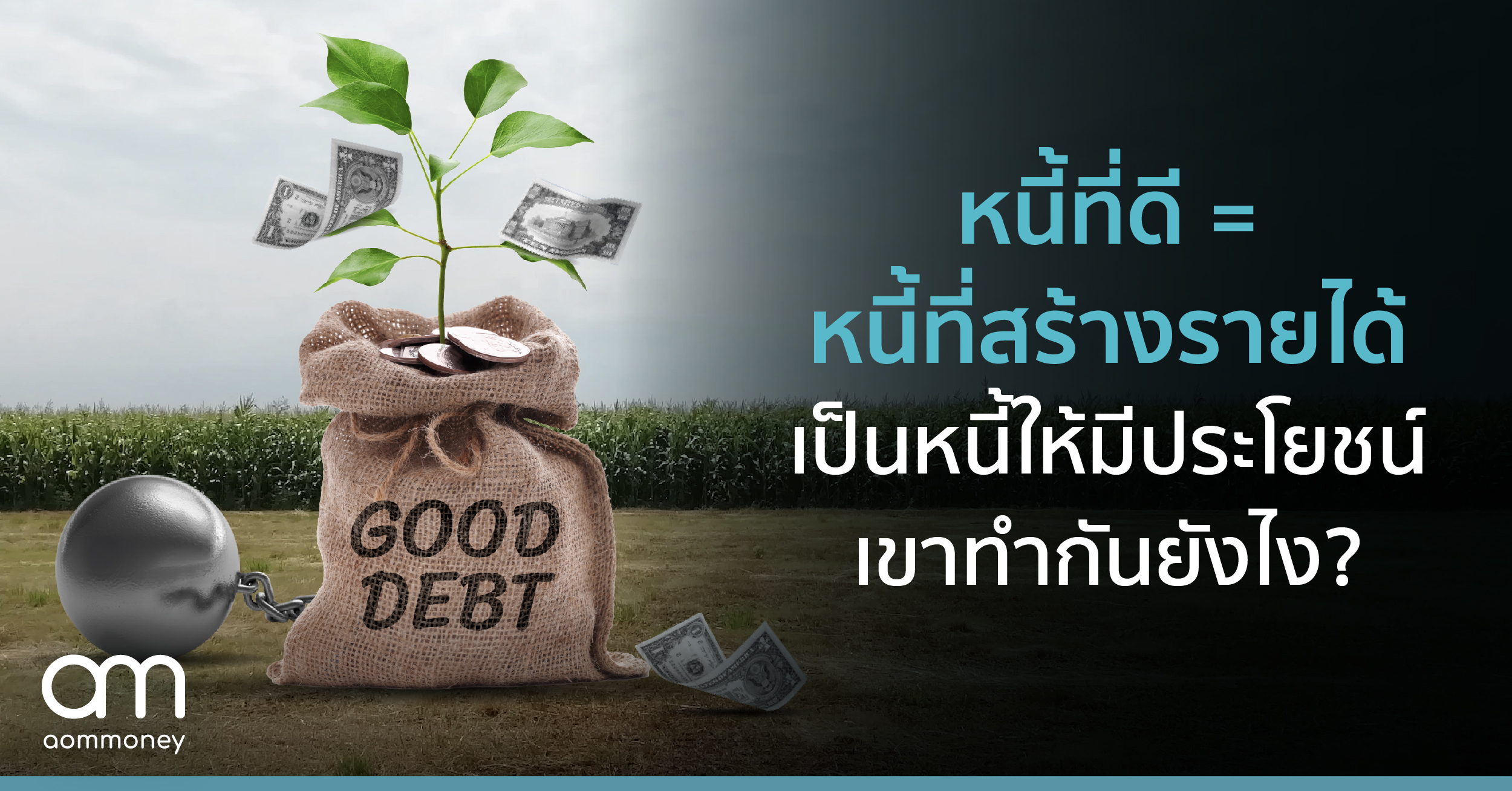หนี้ที่ดี = หนี้ที่สร้างรายได้ เป็นหนี้ให้มีประโยชน์ เขาทำกันยังไง?