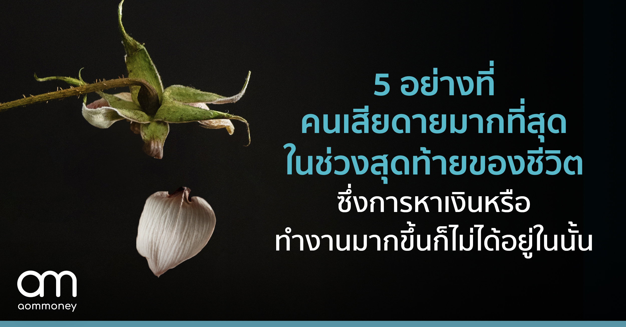 ‘5 อย่างที่คนเสียดายมากที่สุดในช่วงสุดท้ายของชีวิต’ ซึ่งการหาเงินหรือทำงานมากขึ้นก็ไม่ได้อยู่ในนั้น