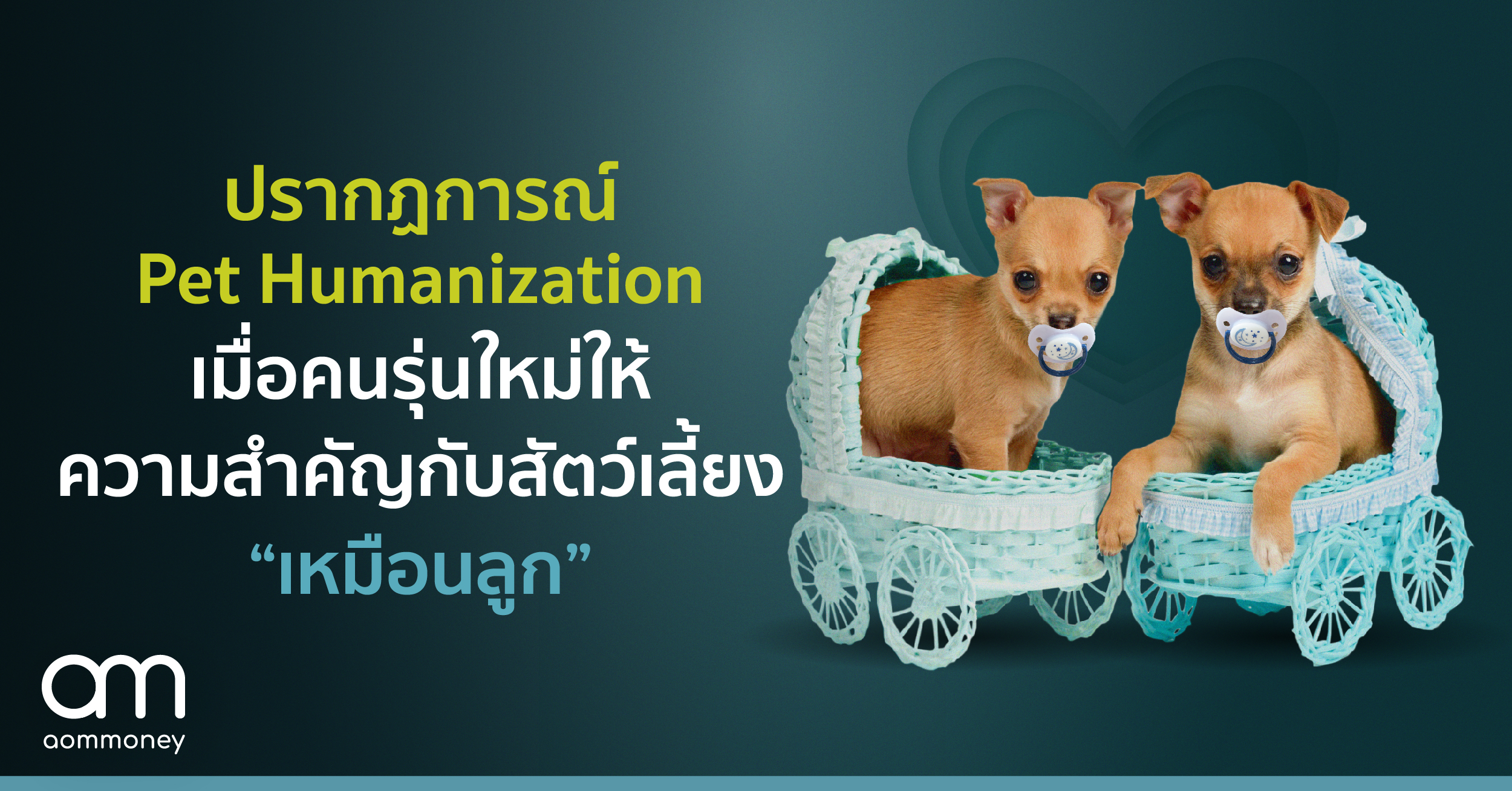 ปรากฏการณ์ Pet Humanizationเมื่อคนรุ่นใหม่ให้ความสำคัญกับสัตว์เลี้ยง “เหมือนลูก”