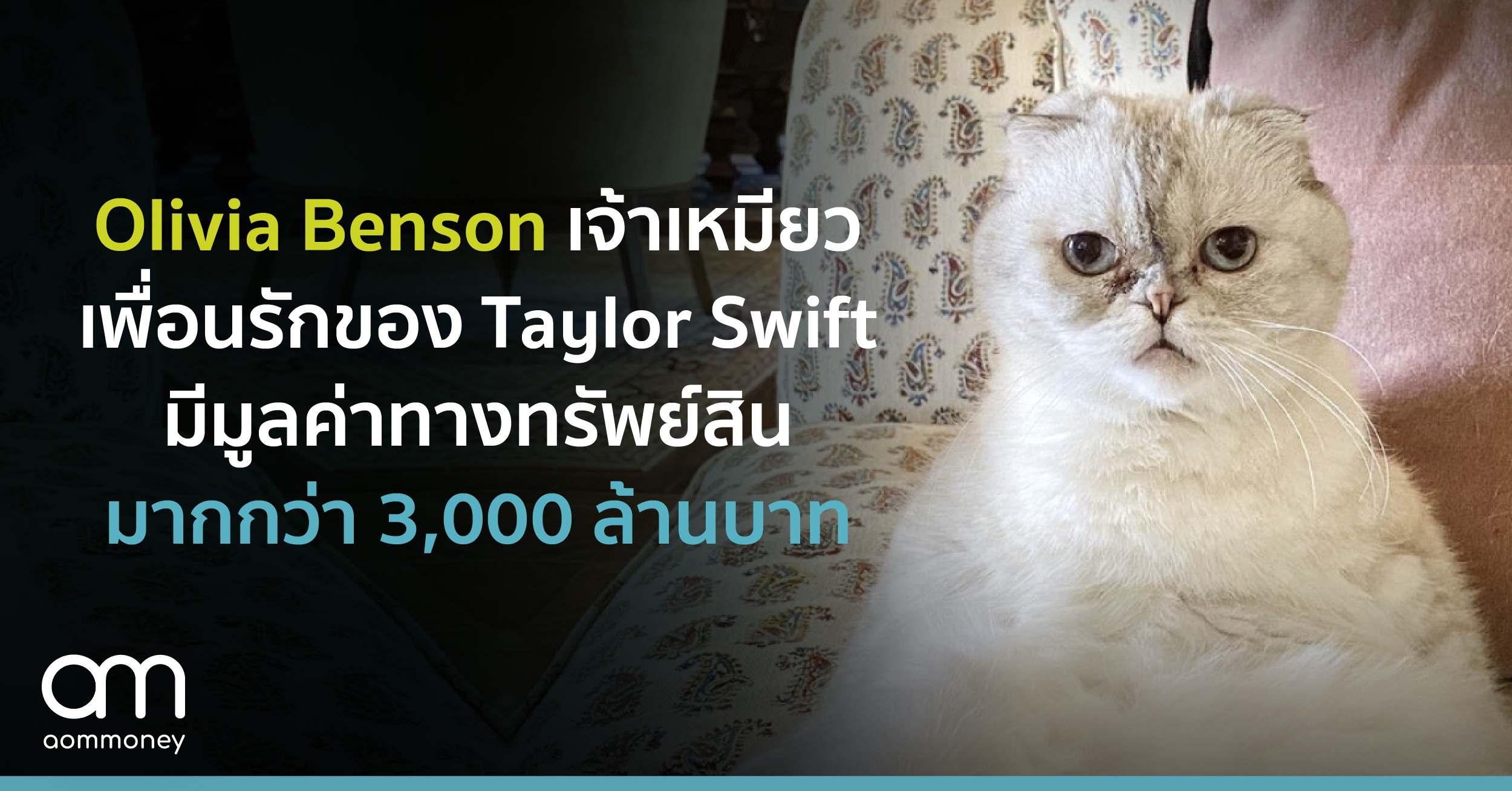 Olivia Benson เจ้าเหมียวเพื่อนรักของ Taylor Swift มีมูลค่าทางทรัพย์สินมากกว่า 3,000 ล้านบาท