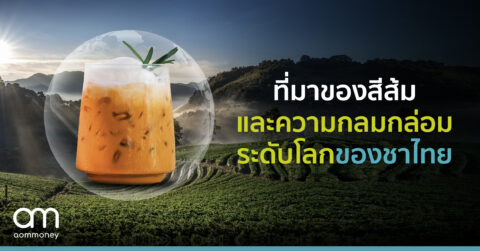 ที่มาของสีส้มและความกลมกล่อมระดับโลกของชาไทย
