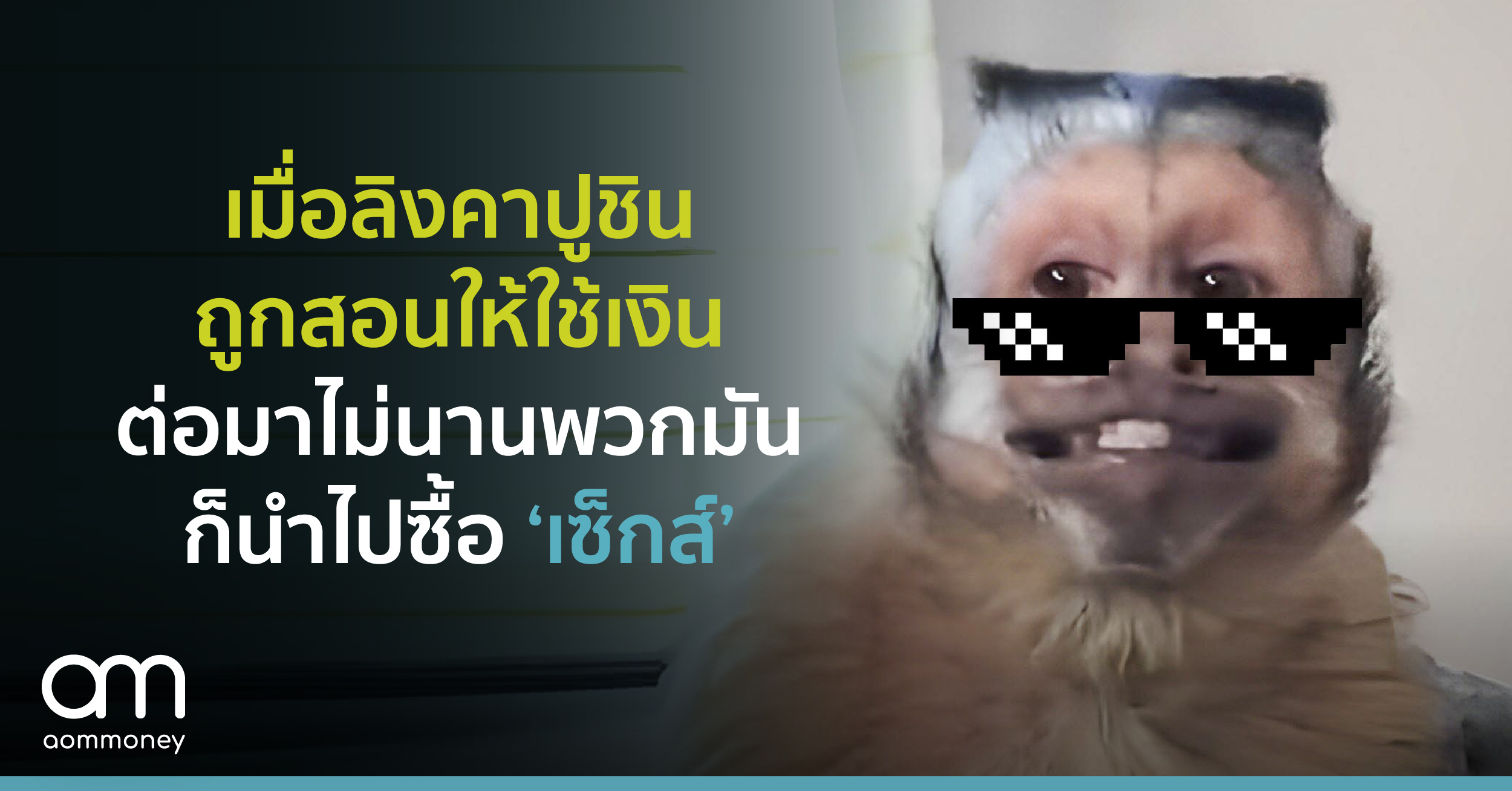 เมื่อลิงคาปูชินถูกสอนให้ใช้เงิน ต่อมาไม่นานพวกมันก็นำไปซื้อ ‘เซ็กส์’