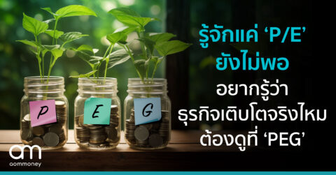 รู้จักแค่ ‘P/E’ ยังไม่พอ อยากรู้ว่าธุรกิจเติบโตจริงไหม ต้องดูที่ ‘PEG’
