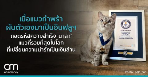 เมื่อแมวกำพร้าผันตัวเองมาเป็นอินฟลูฯ ถอดรหัสความสำเร็จ ‘นาลา’ แมวที่รวยที่สุดในโลก ที่เปลี่ยนความน่ารักเป็นเงินล้าน