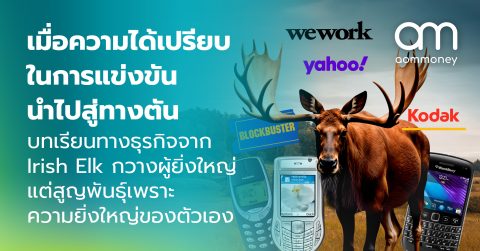 เมื่อความได้เปรียบในการแข่งขันนำไปสู่ทางตัน : บทเรียนทางธุรกิจจาก Irish Elk เจ้าแห่งกวางผู้ยิ่งใหญ่แต่สูญพันธุ์เพราะความยิ่งใหญ่ของตัวเอง