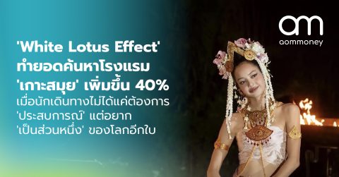 ‘White Lotus Effect’ ทำยอดค้นหาโรงแรม ‘เกาะสมุย’ เพิ่มขึ้น 40% : เมื่อนักเดินทางไม่ได้แค่ต้องการ ‘ประสบการณ์’ แต่อยาก ‘เป็นส่วนหนึ่ง’ ของโลกอีกใบ