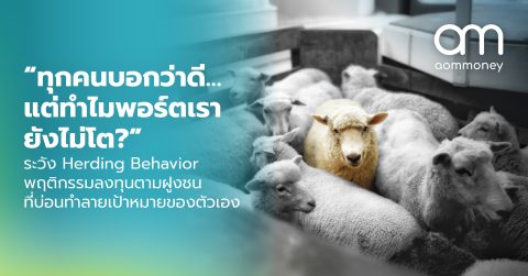 “ทุกคนบอกว่าดี…แต่ทำไมพอร์ตเรายังไม่โต?” ระวัง Herding Behavior พฤติกรรมลงทุนตามฝูงชนที่บ่อนทำลายเป้าหมายของตัวเอง