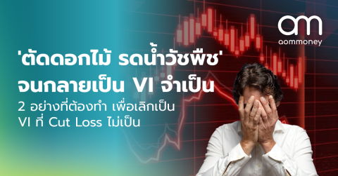 ‘ตัดดอกไม้ รดน้ำวัชพืช’ จนกลายเป็น VI จำเป็น : 2 อย่างที่ต้องทำ เพื่อเลิกเป็น VI ที่ Cut Loss ไม่เป็น