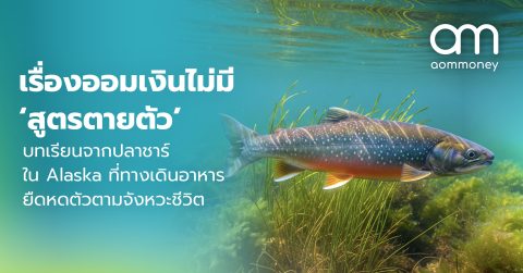 เรื่องออมเงินไม่มี ‘สูตรตายตัว’ : บทเรียนจากปลาชาร์ใน Alaska ที่ทางเดินอาหารยืดหดตัวตามจังหวะชีวิต